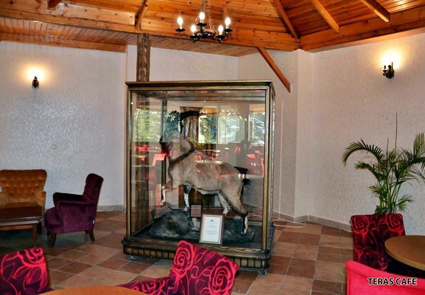 Patalya Thermal Resort Hotel Kızılcahamam Kültér fotó